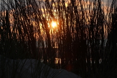 IMG_8800